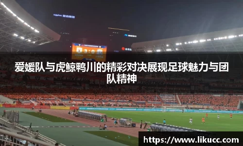 爱媛队与虎鲸鸭川的精彩对决展现足球魅力与团队精神