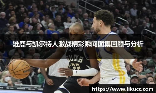 雄鹿与凯尔特人激战精彩瞬间图集回顾与分析